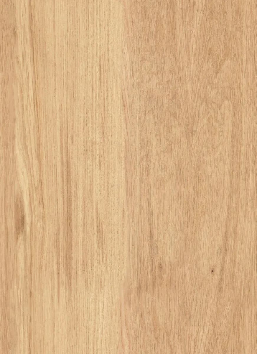 Acoustic Panel Study